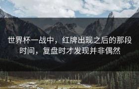 世界杯一战中，红牌出现之后的那段时间，复盘时才发现并非偶然