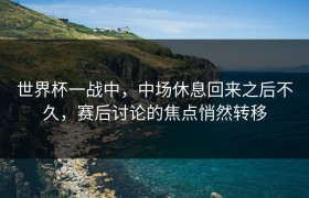 世界杯一战中，中场休息回来之后不久，赛后讨论的焦点悄然转移