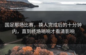 国足那场比赛，换人完成后的十分钟内，直到终场哨响才看清影响