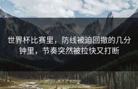 世界杯比赛里，防线被迫回撤的几分钟里，节奏突然被拉快又打断