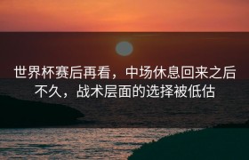 世界杯赛后再看，中场休息回来之后不久，战术层面的选择被低估